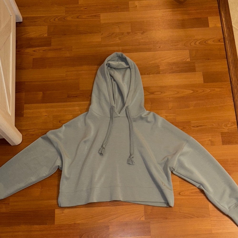 Altard State sage green cropped hoodie